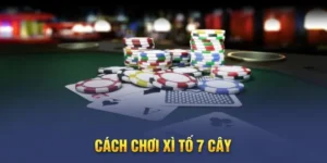 Khám Phá Trò Chơi Xì Tố Tại iWin Club Với Luật Chơi Và Chiến Thuật Chuẩn